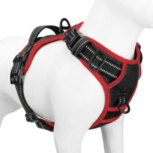 PHOEPET, Pettorina per cani di piccola taglia | FindTheDeal