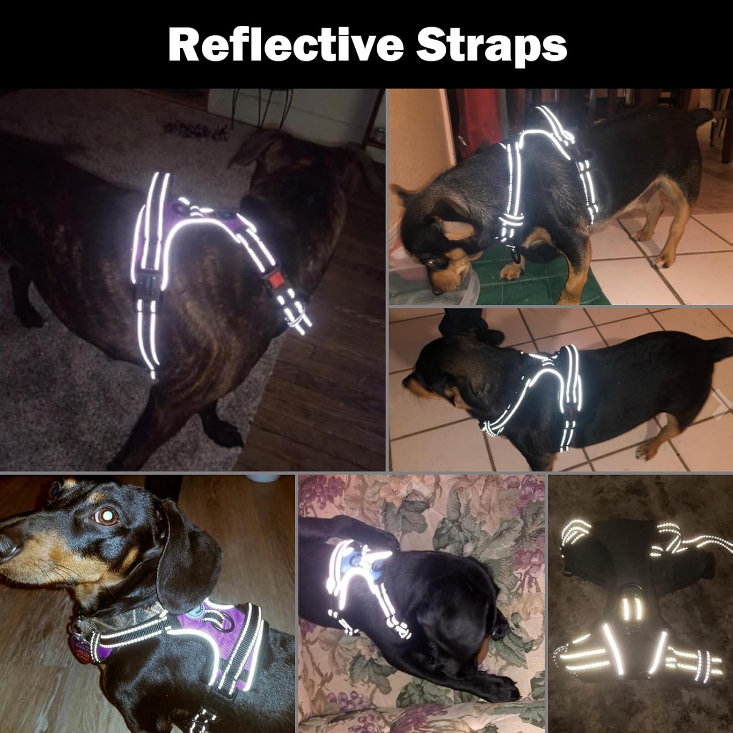 thumbnail image 2 of No-Pull Dog Harness For Small Dogs - Reflective Vest With Front Clip 2 of 10